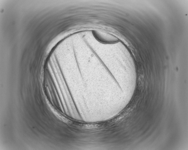 X0000087401523200705111813