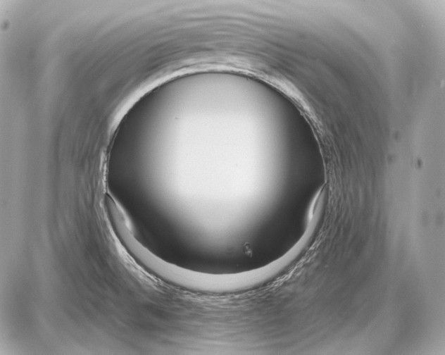 X0000087401524200705111813