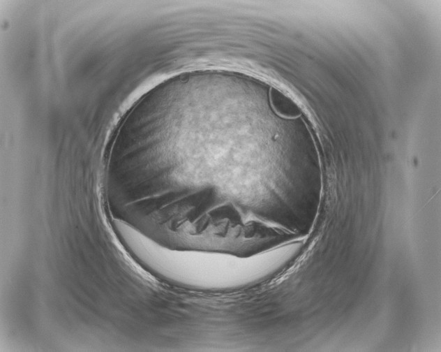 X0000087401525200705111813