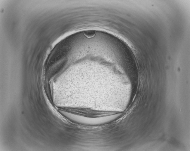 X0000087401526200705111813