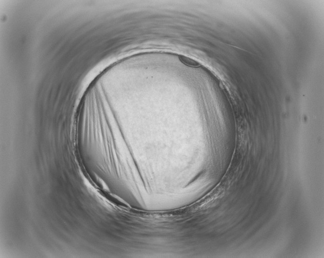 X0000087401527200705111813