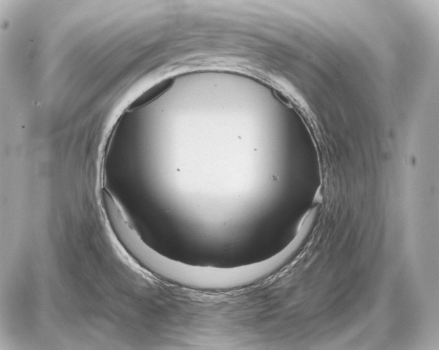 X0000087401528200705111813