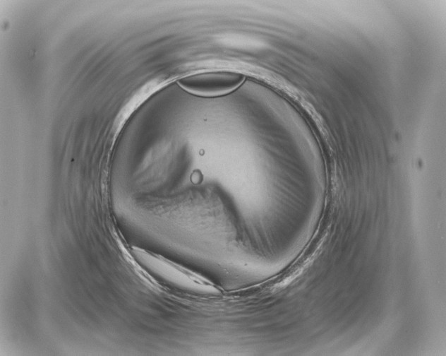 X0000087401529200705111813