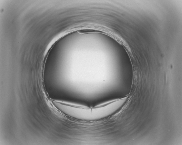 X0000087401530200705111813