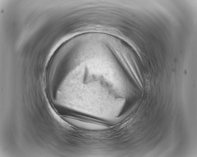 X0000087401531200705111813