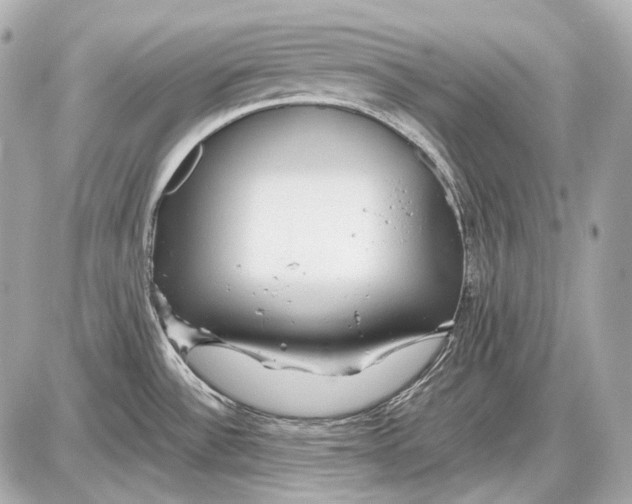 X0000087401532200705111813