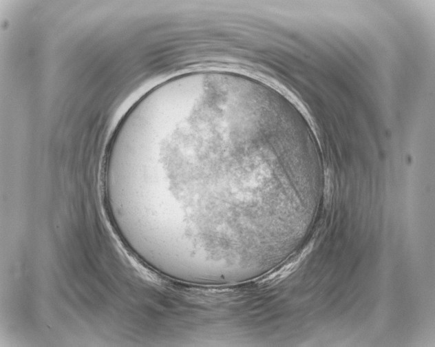 X0000087401533200705111813