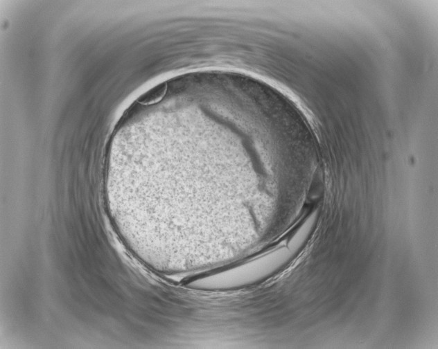 X0000087401534200705111813