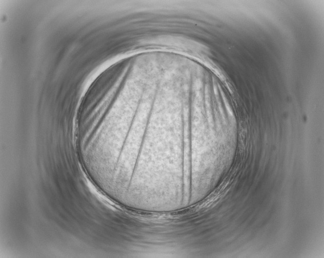 X0000087401535200705111813