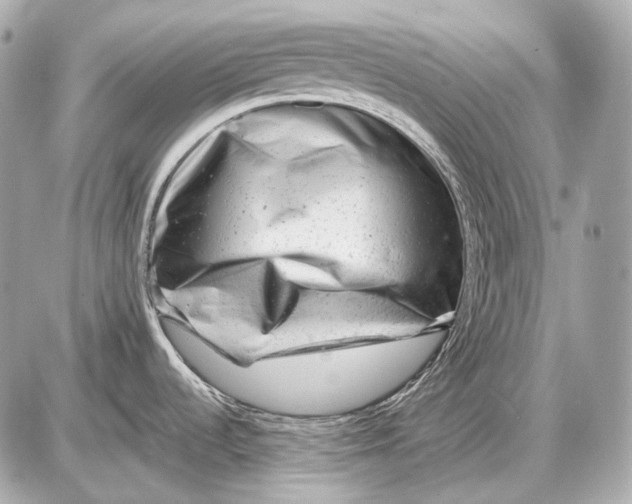 X0000087401536200705111813