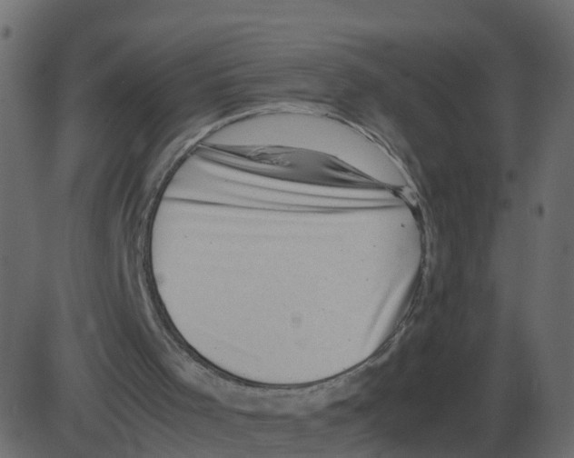 X0000087400001200705181344