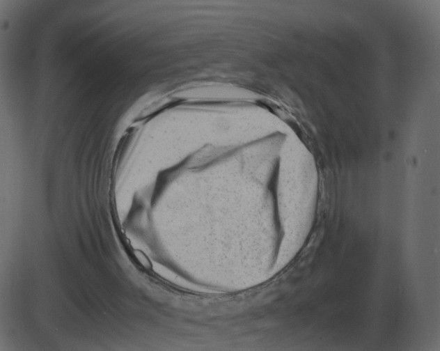 X0000087400003200705181344