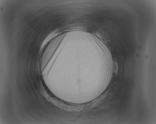 X0000087400004200705181344