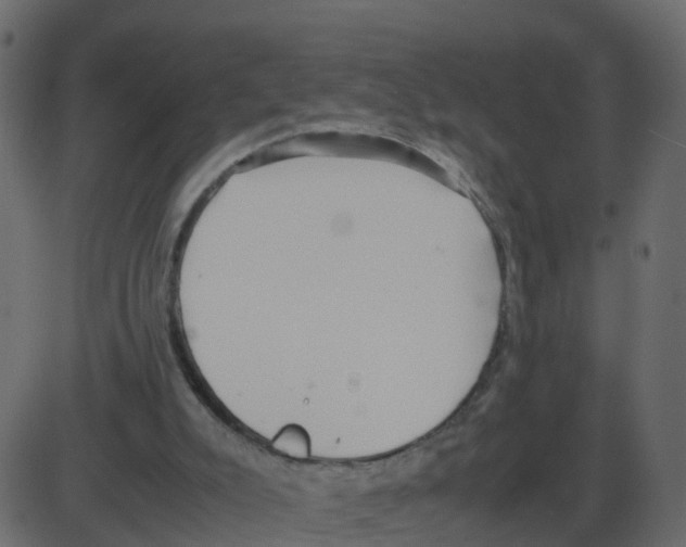 X0000087400007200705181344