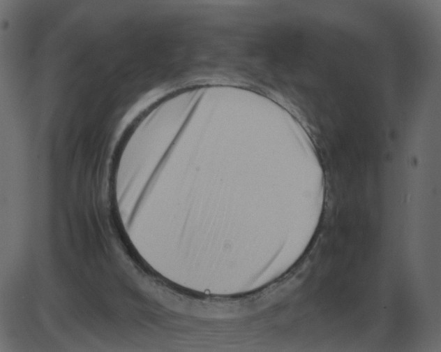 X0000087400008200705181344