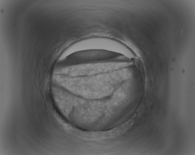 X0000087400009200705181344