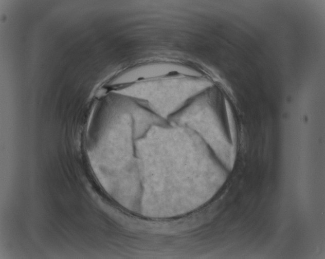 X0000087400010200705181344