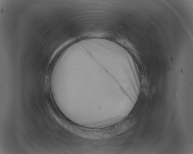 X0000087400012200705181344