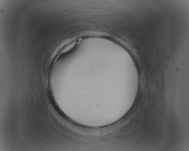 X0000087400015200705181344