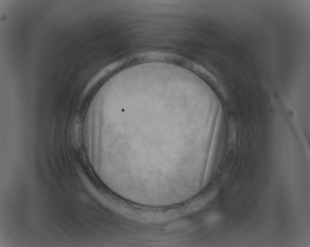 X0000087400016200705181344