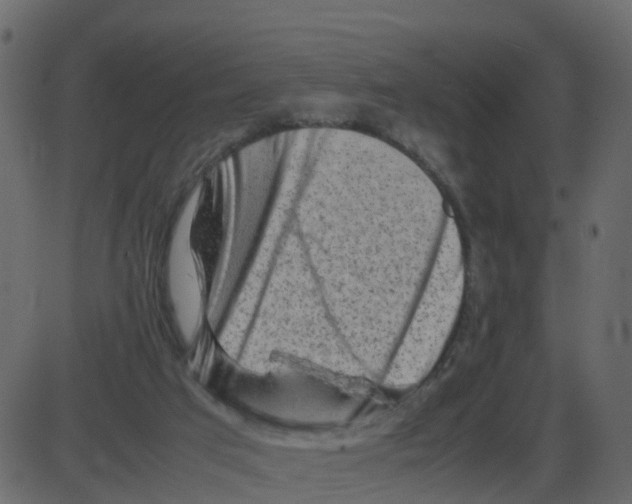 X0000087400017200705181344