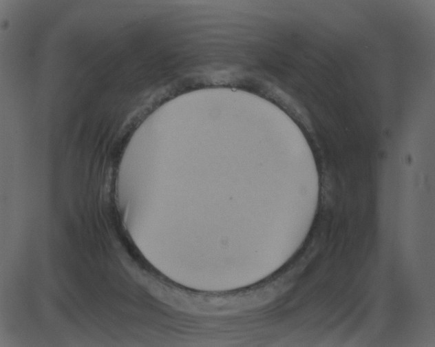 X0000087400018200705181344