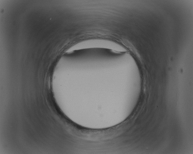 X0000087400021200705181344