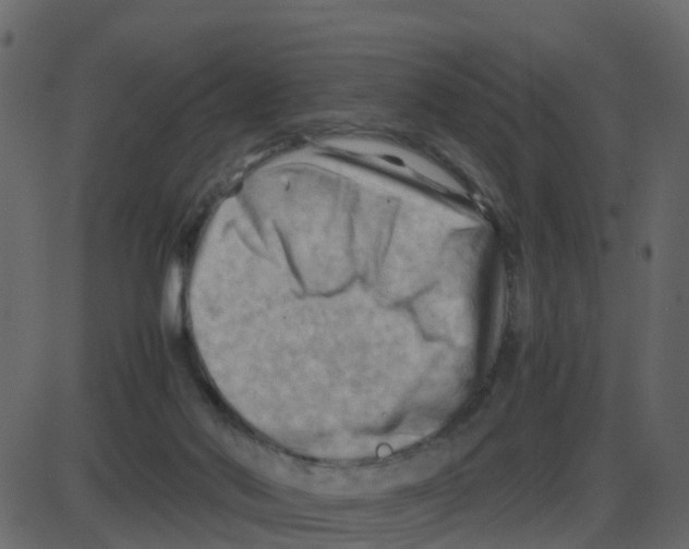 X0000087400022200705181344