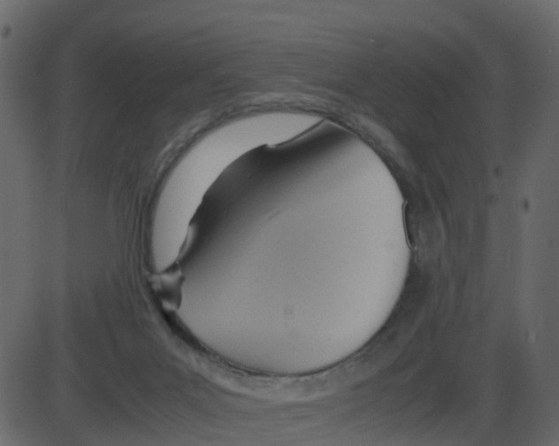 X0000087400023200705181344