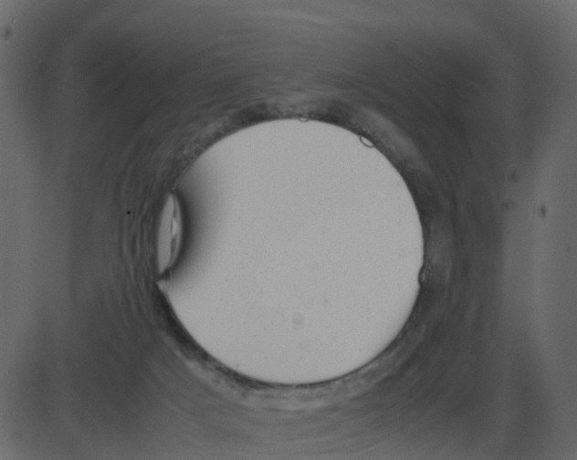 X0000087400025200705181344