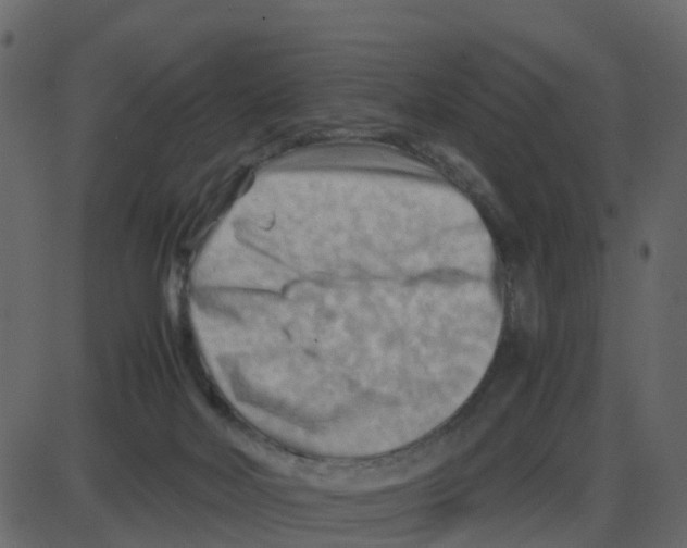 X0000087400026200705181344