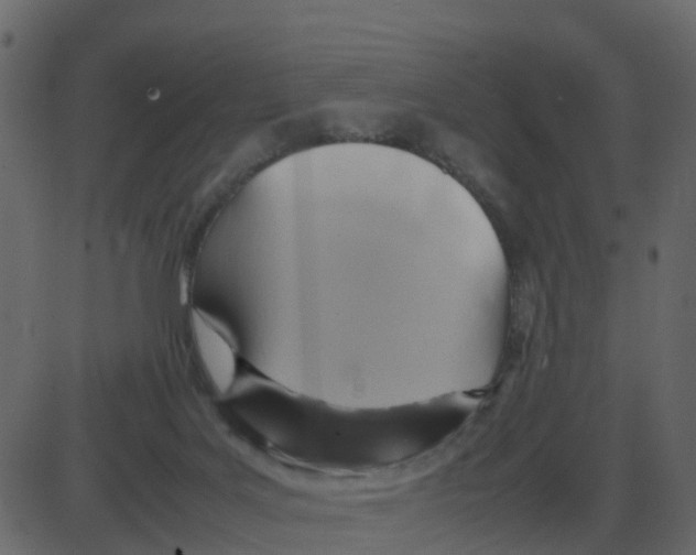 X0000087400027200705181344