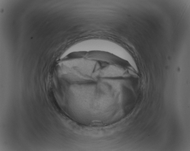 X0000087400029200705181343