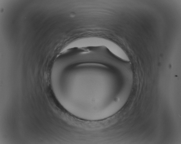 X0000087400031200705181343