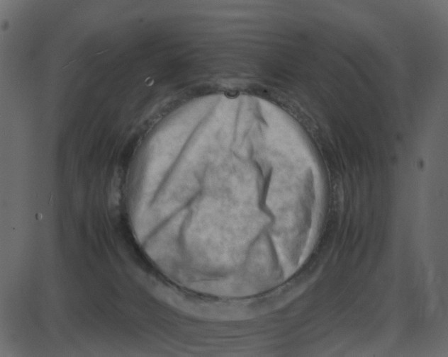 X0000087400032200705181343