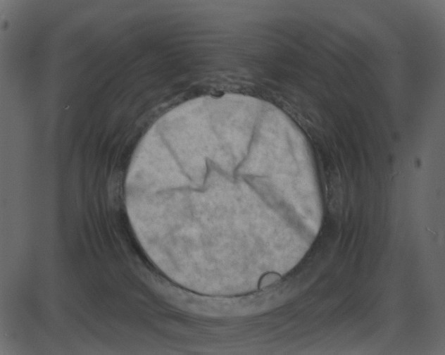 X0000087400034200705181343