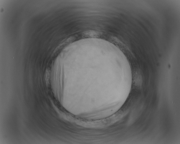 X0000087400036200705181343