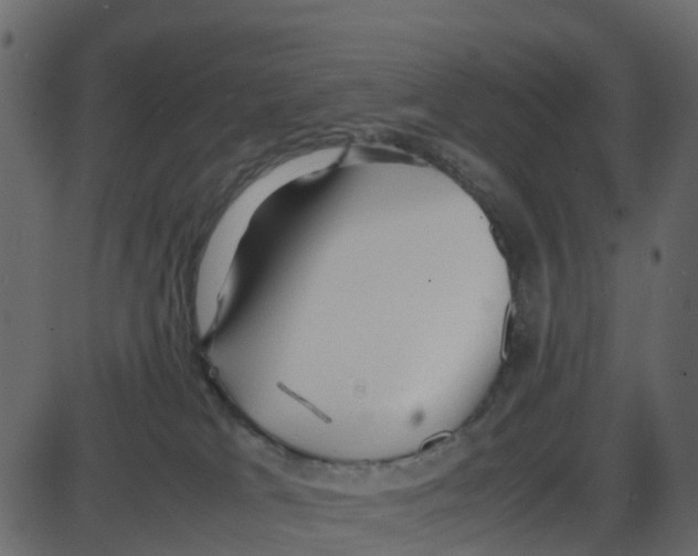 X0000087400037200705181343