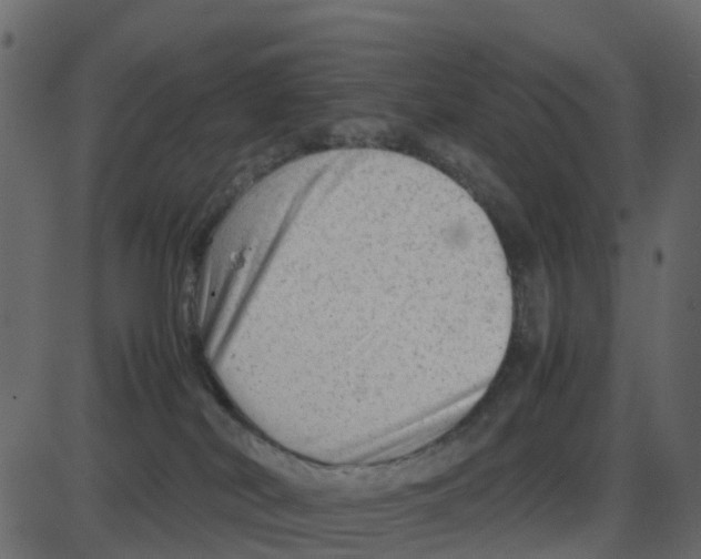 X0000087400038200705181343