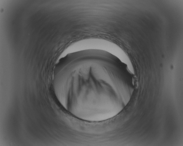 X0000087400039200705181343