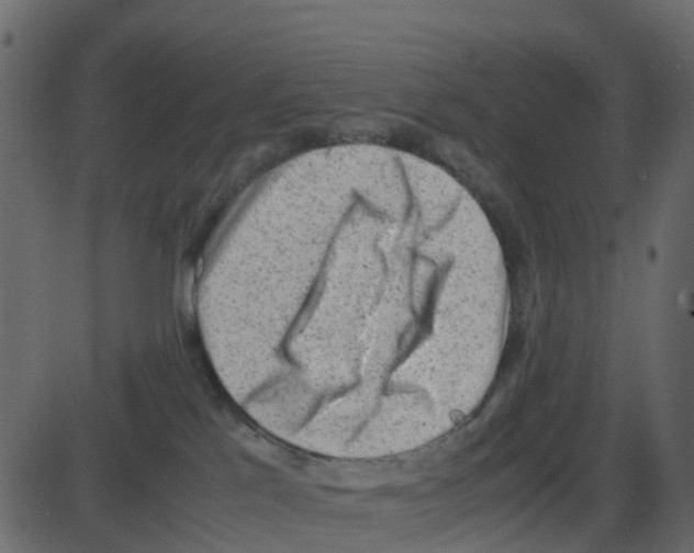 X0000087400041200705181343