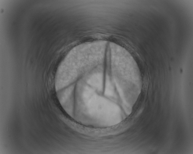 X0000087400043200705181343