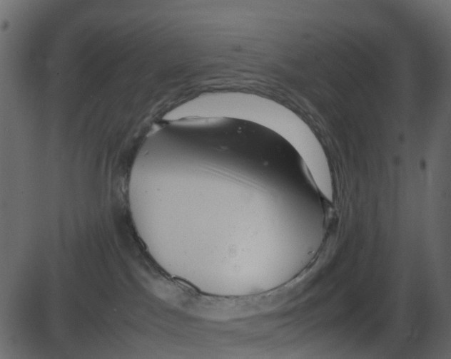 X0000087400045200705181343