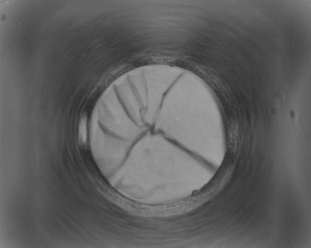 X0000087400046200705181343