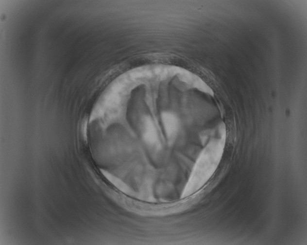 X0000087400047200705181343