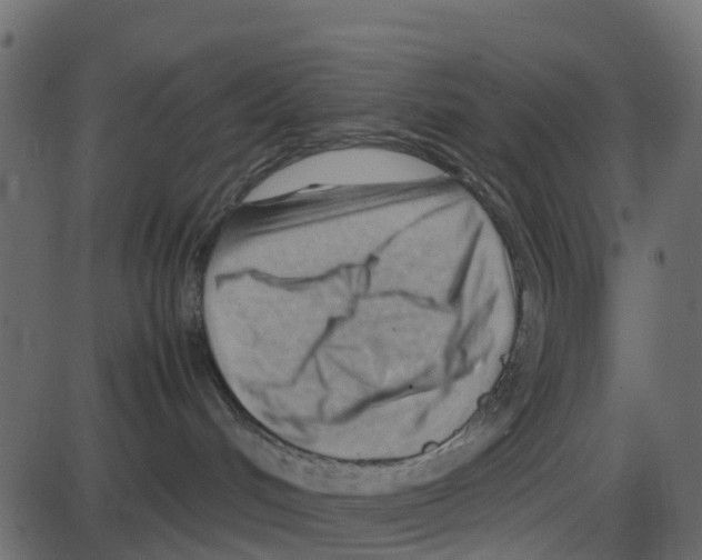 X0000087400048200705181343