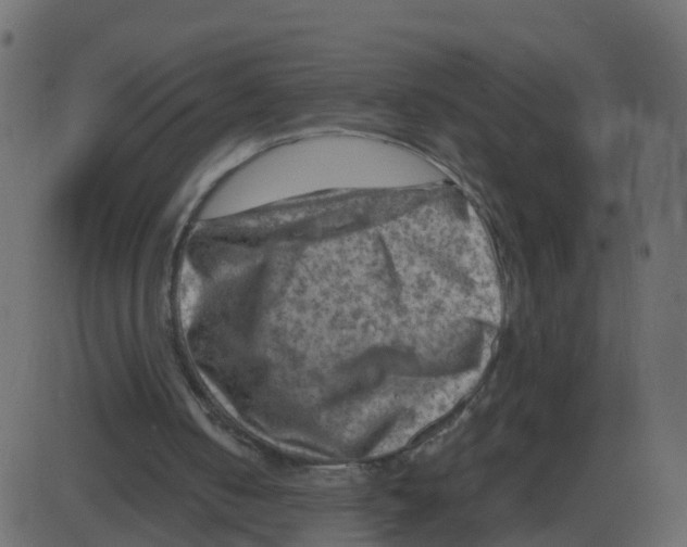 X0000087400050200705181342