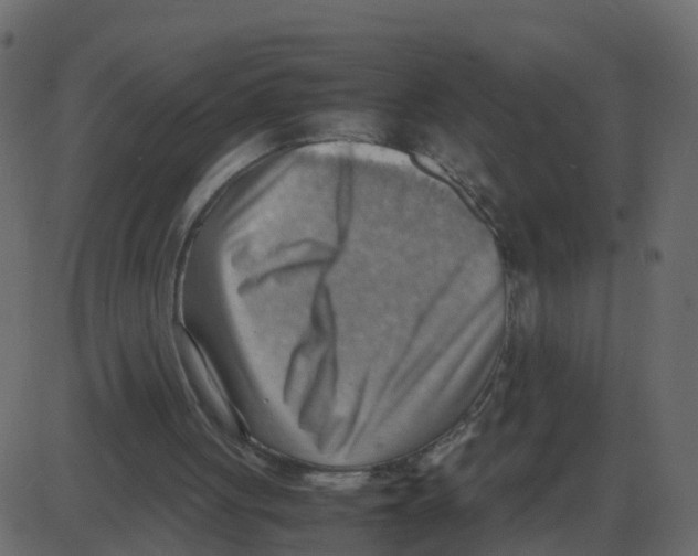 X0000087400051200705181342