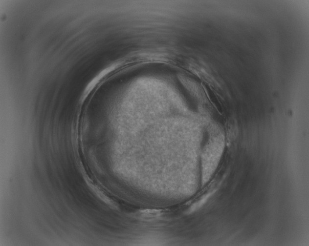 X0000087400052200705181342