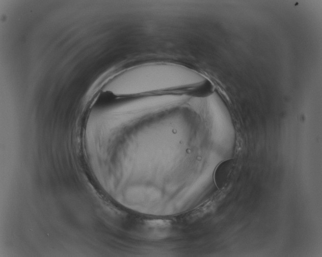 X0000087400053200705181342